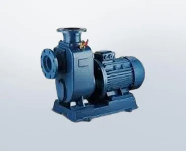 Filter Feed Pump